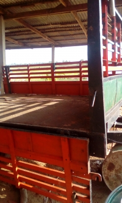 ขายสาลี่ลากรถไถ