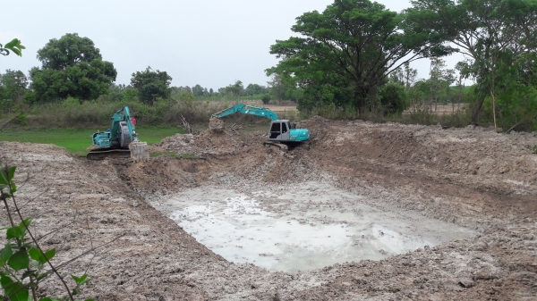 ขายด่วน โกเบโก้ SK120 มาร์คไฟร์ ซุบเปอร์