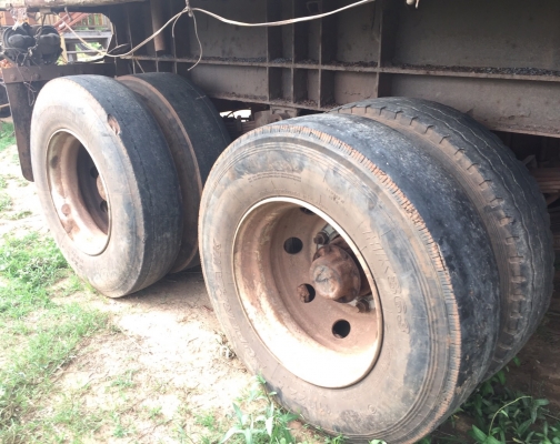 ขายด่วน หางพ่วง PS 2 เพลา กล่องไม่ดั๊มพ์ความยาว 12 เมตรสภาพดี ฝาข้างมีแตกมีกระทุ้งบ้างแต่ยังสามารถใช้งานได้ดี พื้นเหล็กมีผุบางเล็กน้อยครับ ช่วงล่างดีคัชซีไม่มีบวมไม่ผุ ยาง 8 เส้นประมาณ 50\% เอกสารทะเบียนภาษีขาด 2 ปี ชุดโอนครบพร้อม ราคาต่อรองได้ครับ ขายด่วน หางพ่วง PS 2 เพลา กล่องไม่ดั๊มพ์ความยาว 12 เมตรสภาพดี ฝาข้างมีแตกมีกระทุ้งบ้างแต่ยังสามารถใช้งานได้ดี พื้นเหล็กมีผุบางเล็กน้อยครับ ช่วงล่างดีคัชซีไม่มีบวมไม่ผุ ยาง 8 เส้นประมาณ 50\% เอกสารทะเบียนภาษีขาด 2 ปี ชุดโอนครบพร้อม ราคาต่อรองได้ครับ