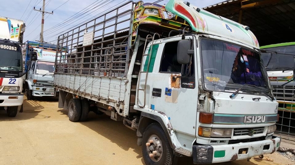 ขาย6ล้อ 3 คัน รถประกอบ เครื่อง 195 , 185 กระบะยาว 6.30 , 7.70 , 7.30 คัสซีสวยทุกคันสภาพใช้งานครับ ขาย6ล้อ 3 คัน รถประกอบ เครื่อง 195 , 185 กระบะยาว 6.30 , 7.70 , 7.30 คัสซีสวยทุกคันสภาพใช้งานครับ