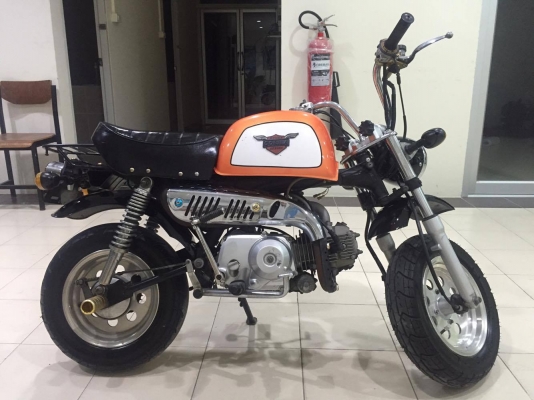 ขายกอลิล่า สีส้มดำ ขายกอลิล่า สีส้มดำ