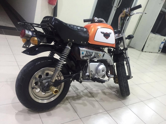 ขายกอลิล่า สีส้มดำ ขายกอลิล่า สีส้มดำ