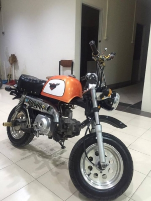 ขายกอลิล่า สีส้มดำ ขายกอลิล่า สีส้มดำ