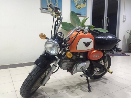 ขายกอลิล่า สีส้มดำ ขายกอลิล่า สีส้มดำ