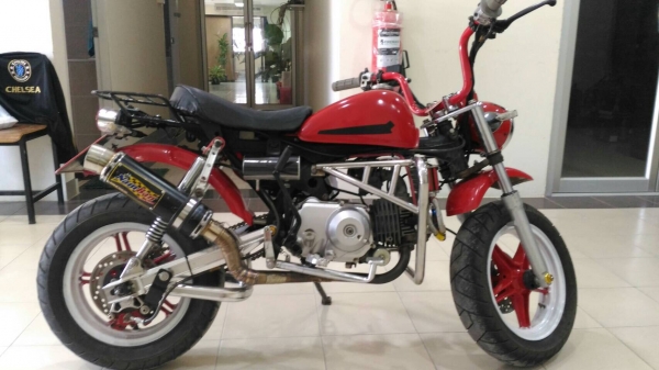 มั้งกี้ สีแดง