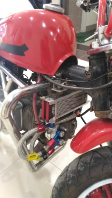 มั้งกี้ สีแดง