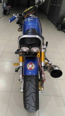 ขายกอลิล่า สีน้ำเงิน