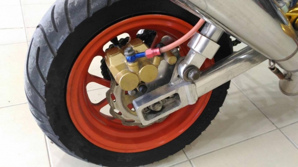 ขายกอลิล่า สีน้ำเงิน