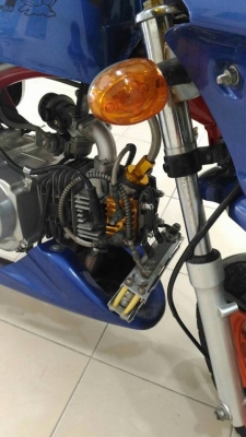 ขายกอลิล่า สีน้ำเงิน