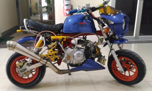 ขายกอลิล่า สีน้ำเงิน