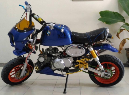 ขายกอลิล่า สีน้ำเงิน