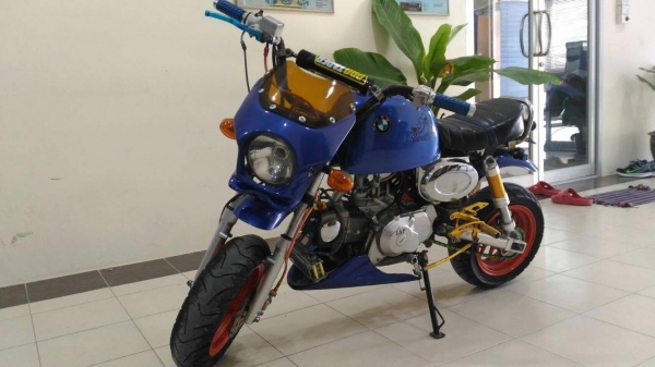 ขายกอลิล่า สีน้ำเงิน