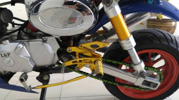 ขายกอลิล่า สีน้ำเงิน