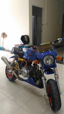 ขายกอลิล่า สีน้ำเงิน