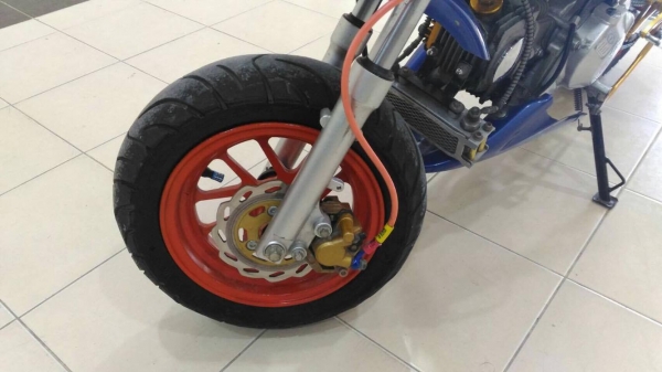 ขายกอลิล่า สีน้ำเงิน