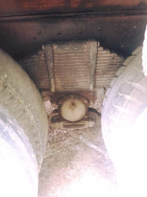 ราคาเบาเบา