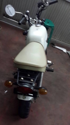 ขายกอลิล่าสีขาว เบาะขาว