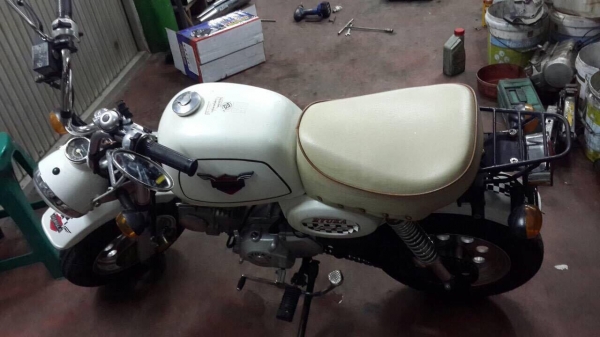 ขายกอลิล่าสีขาว เบาะขาว