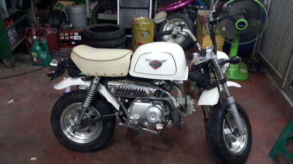 ขายกอลิล่าสีขาว เบาะขาว