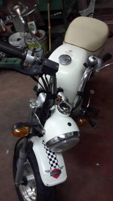 ขายกอลิล่าสีขาว เบาะขาว