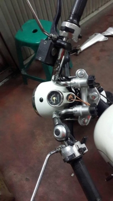 ขายกอลิล่าสีขาว เบาะขาว