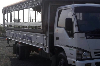 หกล้อ อีซูชุ NQR150ปี51ช่วงยาว5.50ม สภาพดีสวยบางเดิม มีหลังคา"รับส่ง-พนังาน รถไม่เคยบรรทุกหนัก เล่มทะเบียนพร้อมโอน หกล้อ อีซูชุ NQR150ปี51ช่วงยาว5.50ม สภาพดีสวยบางเดิม มีหลังคา"รับส่ง-พนังาน รถไม่เคยบรรทุกหนัก เล่มทะเบียนพร้อมโอน