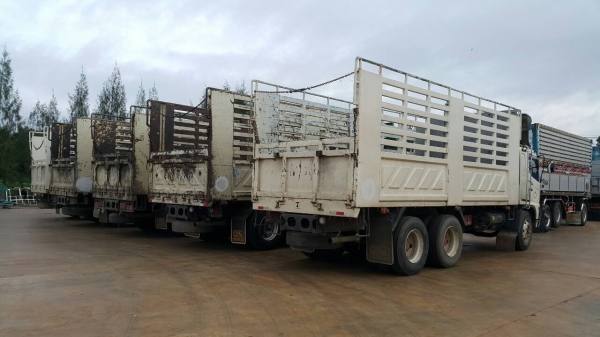 ขายด่วนสิบล้อดั้มสามมิตร3H. 195แรง ปี38ไฟฟ้า หัวสีเดิม เครื่องเกียร์เดิม สภาพสวยพร้อมใช้