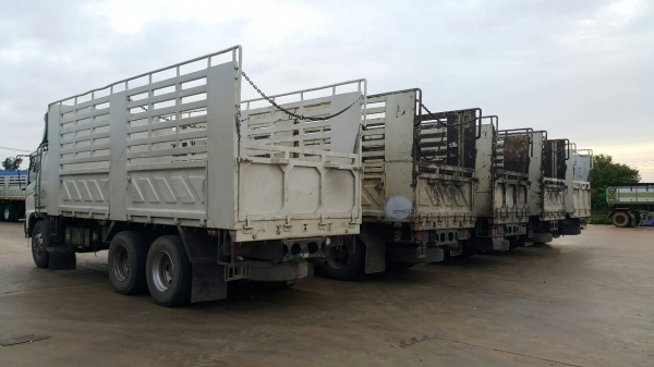 ขายด่วนสิบล้อดั้มสามมิตร3H. 195แรง ปี38ไฟฟ้า หัวสีเดิม เครื่องเกียร์เดิม สภาพสวยพร้อมใช้