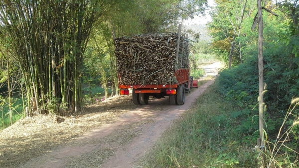 ขายเทลเลอร์ พ่วงรถไถ