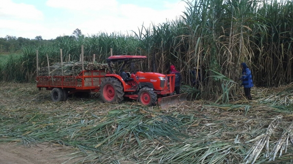 ขายเทลเลอร์ พ่วงรถไถ