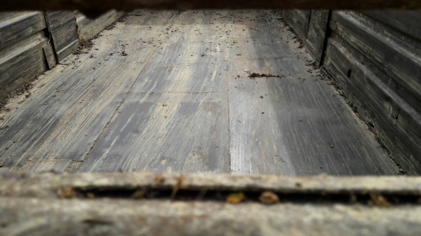 10ล้อดั้ม2เพลา175แรงISUZU..รถสวยจัง...ยางสวย เล่มพร้อม