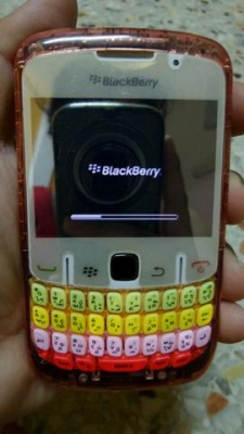BlackBerry8520