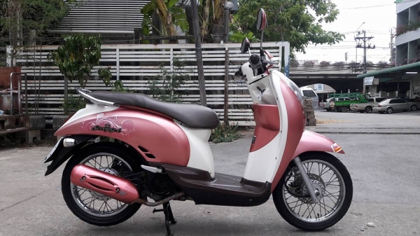 ขายลูกเดียว scoopy ปี2553 ราคากันเอง ขายลูกเดียว scoopy ปี2553 ราคากันเอง