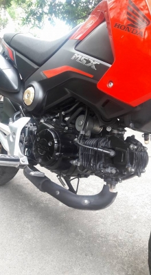 ขายลูกเดียว msx125 หัวฉีด ปี2558 ราคากันเอง ขายลูกเดียว msx125 หัวฉีด ปี2558 ราคากันเอง
