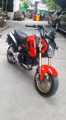 ขายลูกเดียว msx125 หัวฉีด ปี2558 ราคากันเอง ขายลูกเดียว msx125 หัวฉีด ปี2558 ราคากันเอง