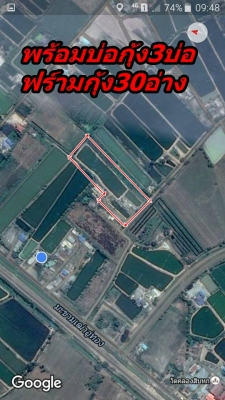 ขายที่ดิน