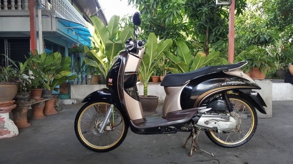 ขออนุญาติขาย HONDA SCOOPY-i ทะเบียนสวย 59 กรุงเทพ โอนฟรีครบ ขออนุญาติขาย HONDA SCOOPY-i ทะเบียนสวย 59 กรุงเทพ โอนฟรีครบ