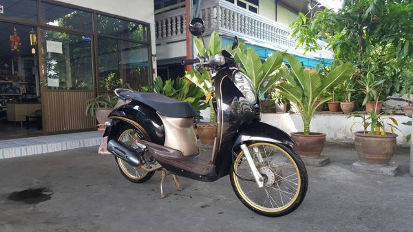 ขออนุญาติขาย HONDA SCOOPY-i  ทะเบียนสวย 59 กรุงเทพ โอนฟรีครบ