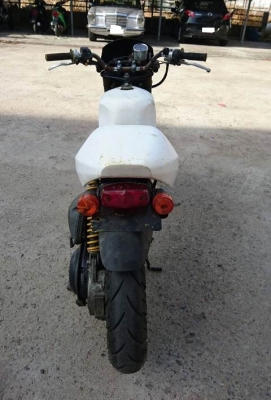 Suzuki Steed magic Suzuki Steed magic