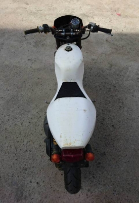 Suzuki Steed magic Suzuki Steed magic