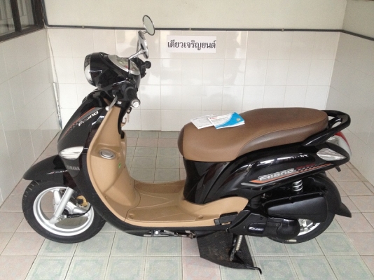 Filano ลายClassic วิ่ง7000 ปี56 (ของแถม 4 รายการ) Filano ลายClassic วิ่ง7000 ปี56 (ของแถม 4 รายการ)