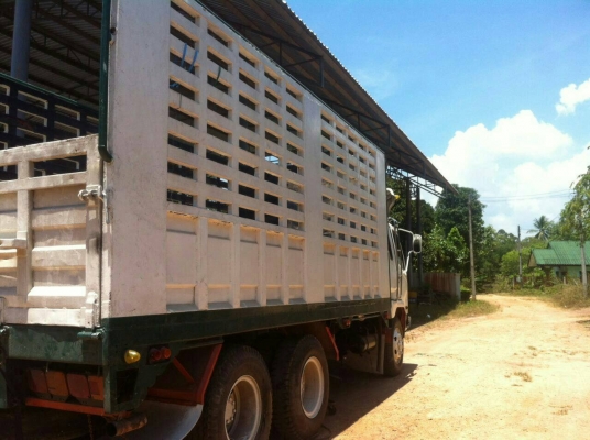 รถมิตซู 10 ล้อ หลังถนน FN517 - TB  190 แรงม้า. ปี 42.     สนใจติดต่อ  081 - 6079515