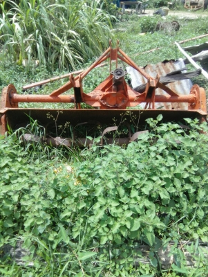 โรตรี่160