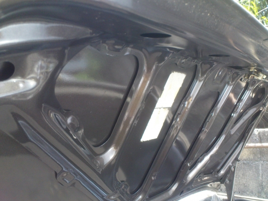 ขายกาสักตัวครับ