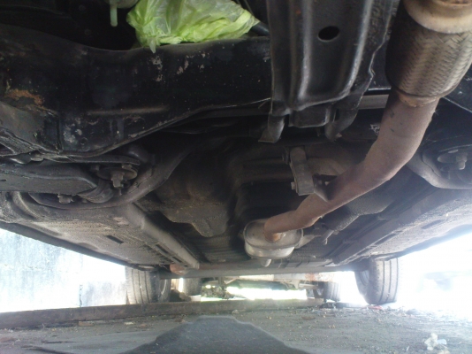 ขายกาสักตัวครับ