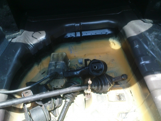 ขายกาสักตัวครับ