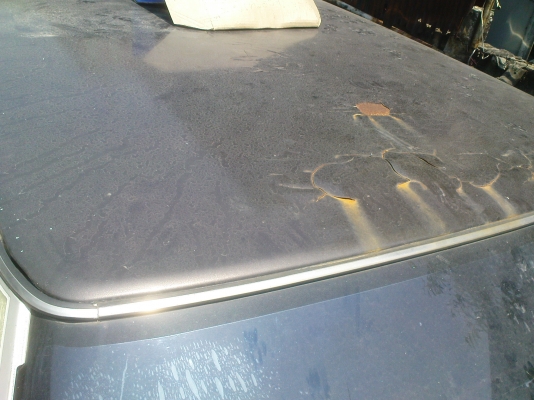 ขายกาสักตัวครับ