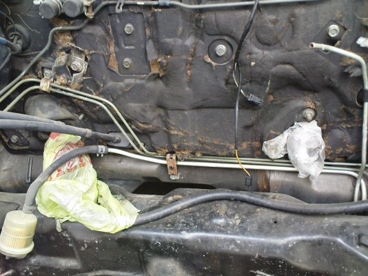 ขายกาสักตัวครับ