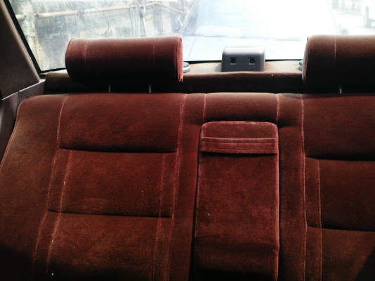 ขายกาสักตัวครับ