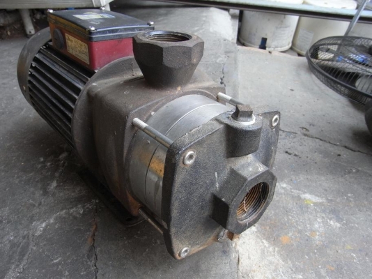 ขายปั้มน้ำหอยโข่งใบพัดหลายชั้น เเรงมาก ยี่ห้อ Walrus 4HP.380 V ใบพัดสแตนเลสอย่างดี สภาพสวยพร้อมใช้งาน รับประกันคุณภาพ ขายปั้มน้ำหอยโข่งใบพัดหลายชั้น เเรงมาก ยี่ห้อ Walrus 4HP.380 V ใบพัดสแตนเลสอย่างดี สภาพสวยพร้อมใช้งาน รับประกันคุณภาพ